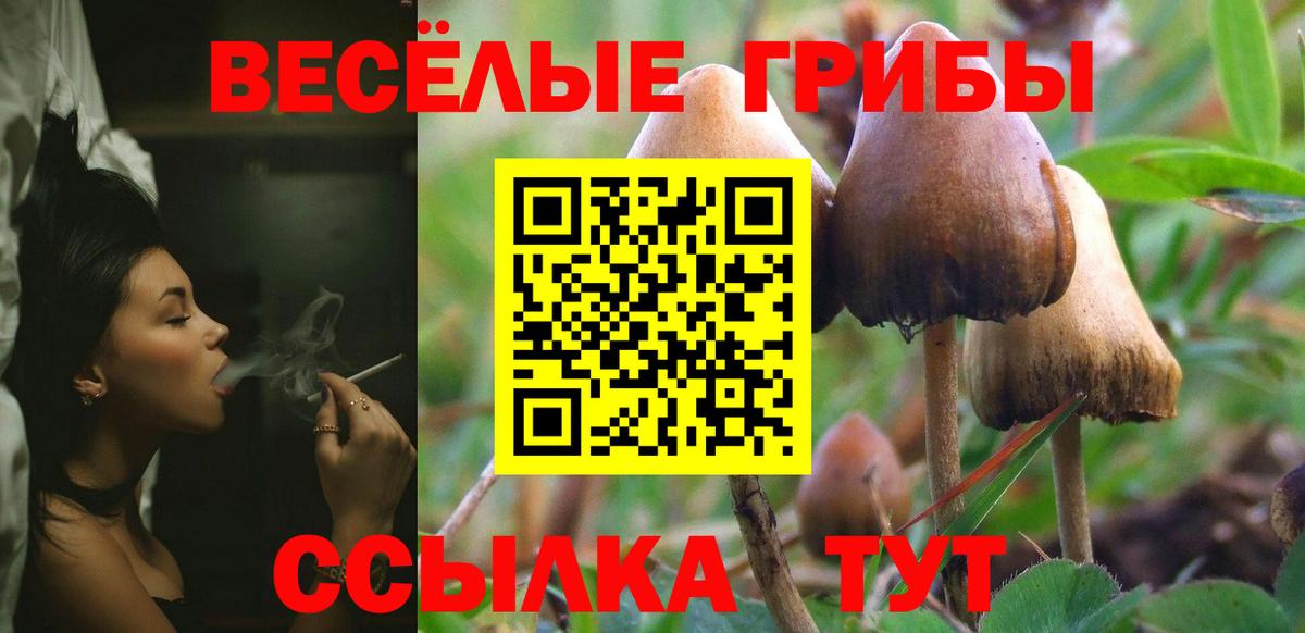 Лысьва  Галлюциногенные грибы MAGIC MUSHROOMS  Вход с VPN 