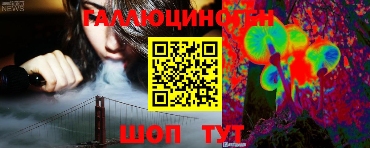 Псилоцибиновые грибы Psilocybe Лысьва